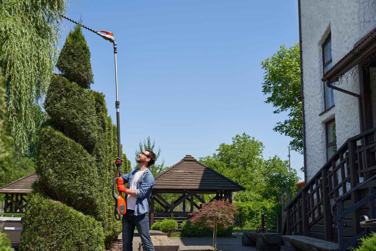 Residential Tree Removal in Poseyville, IN